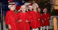 Kolędowało 756 dzieci z 33 przedszkoli  - zdjęcie 3