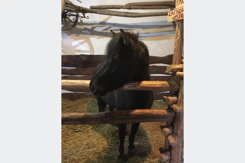 Przyjedź i zobacz jedyną żywą szopkę w regionie - zdjęcie 6