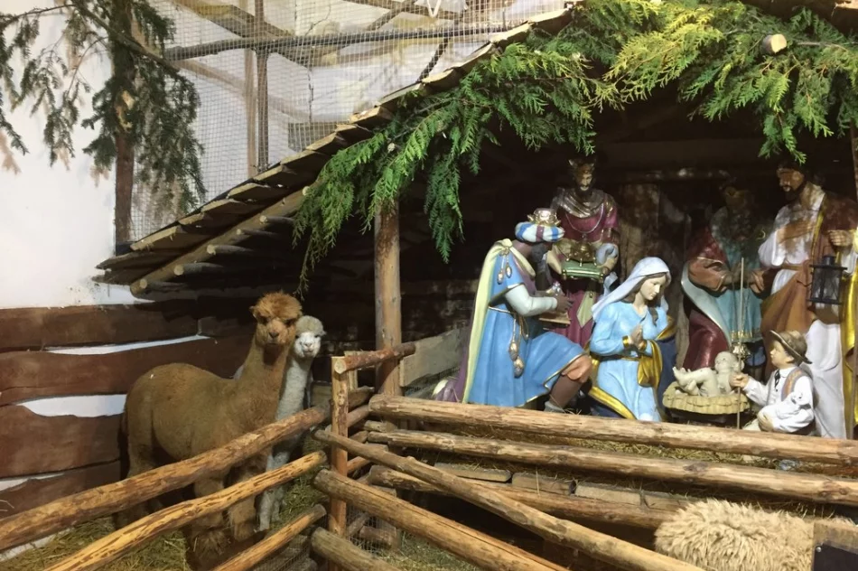 Przyjedź i zobacz jedyną żywą szopkę w regionie - zdjęcie 7