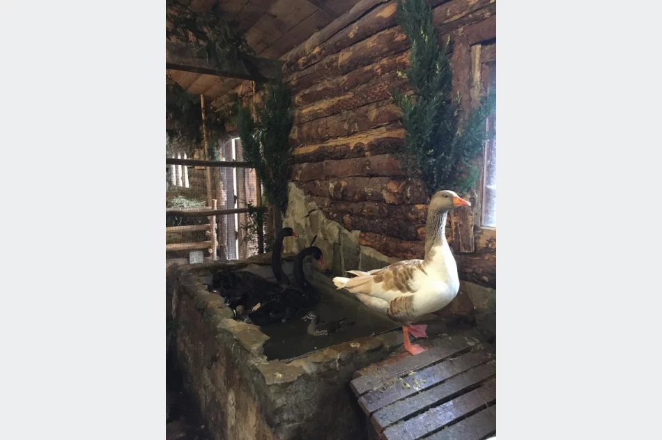 Przyjedź i zobacz jedyną żywą szopkę w regionie - zdjęcie 8