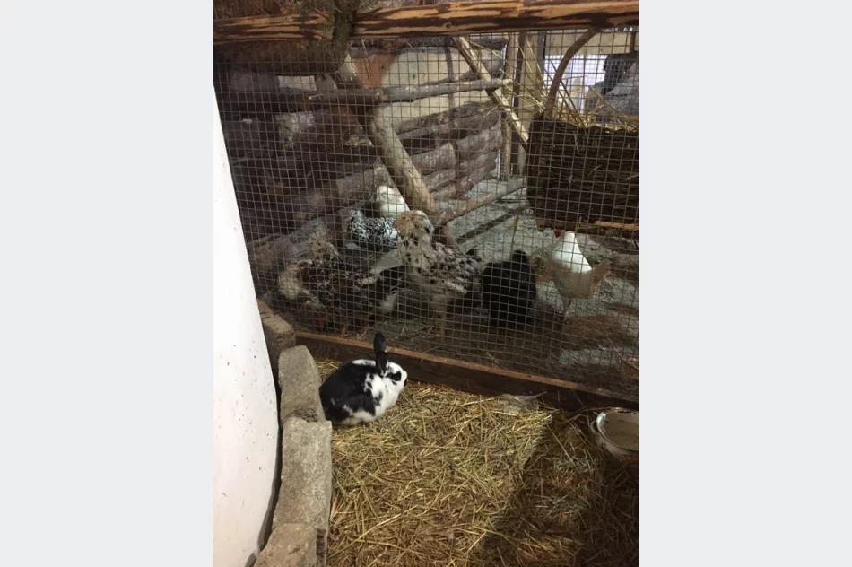 Przyjedź i zobacz jedyną żywą szopkę w regionie - zdjęcie 12