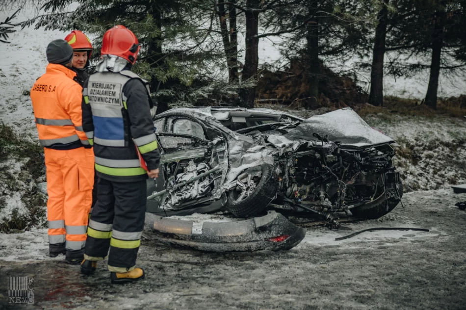 Powodem tragedii niedostosowanie prędkości - zdjęcie 3