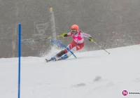 Narciarstwo Alpejskie. Zawodniczka z Laskowej zwyciężyła w Pucharze Polski - zdjęcie główne