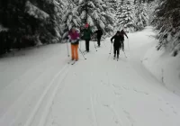 Warunki coraz lepsze, w oczekiwaniu na sylwestrową rywalizację - zdjęcie główne