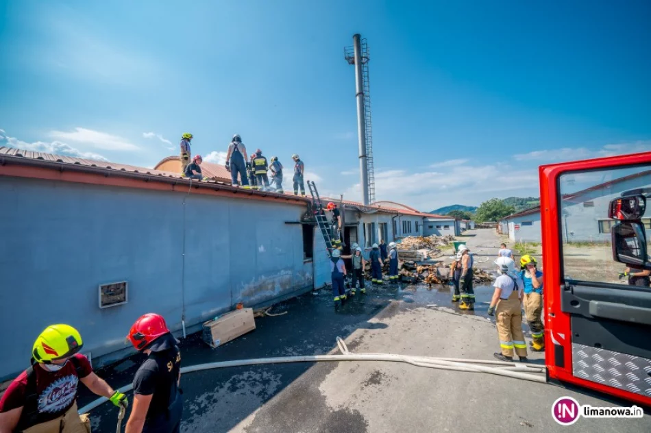 Pożar w salonie meblowym. Dzięki reakcji straży udało się uratować mienie o wartości 8 mln zł - zdjęcie 2