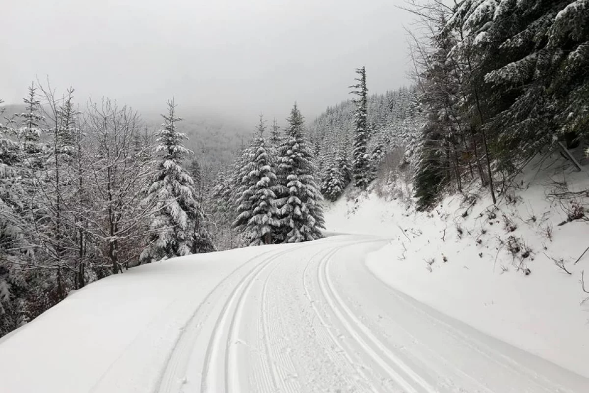 W nocy w górach sypał śnieg. Gdzie na narty? 