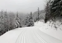 W nocy w górach sypał śnieg. Gdzie na narty?  - zdjęcie główne