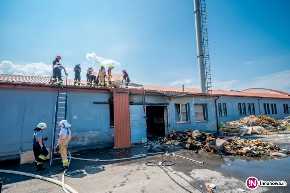 Pożar w salonie meblowym. Dzięki reakcji straży udało się uratować mienie o wartości 8 mln zł - zdjęcie 3