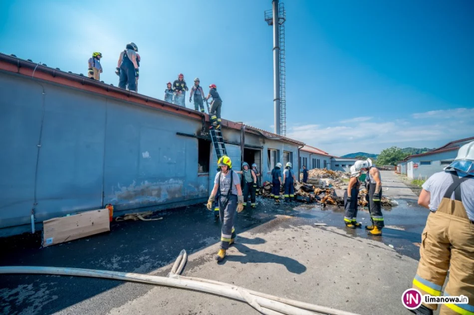 Pożar w salonie meblowym. Dzięki reakcji straży udało się uratować mienie o wartości 8 mln zł - zdjęcie 4