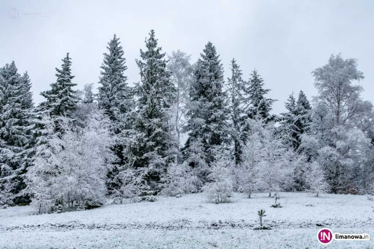 Meteorolodzy ostrzegają: nawet 25 cm śniegu