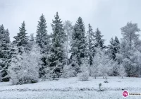 Meteorolodzy ostrzegają: nawet 25 cm śniegu - zdjęcie główne