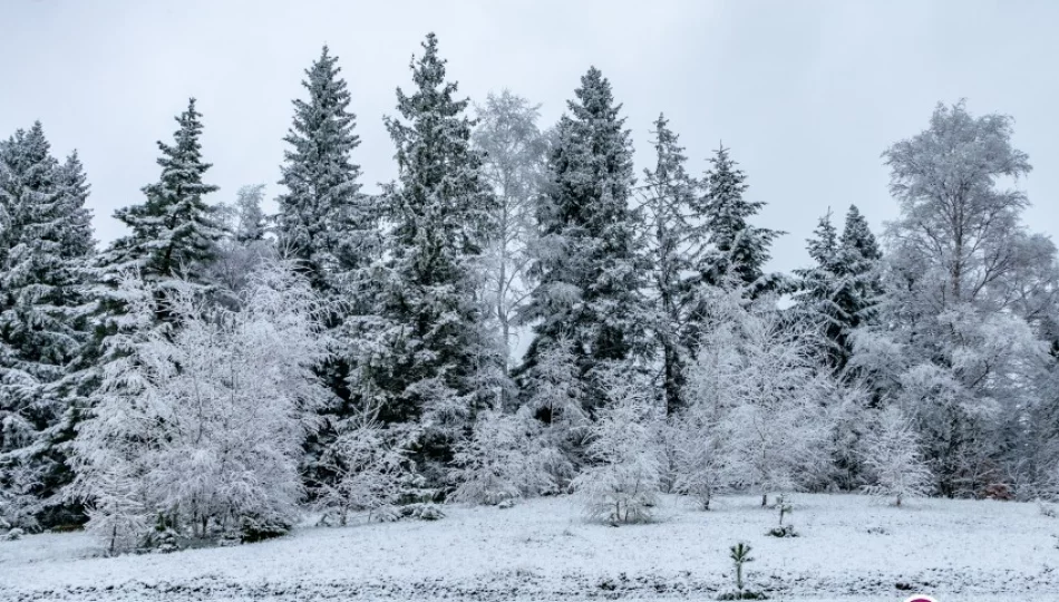 Meteorolodzy ostrzegają: nawet 25 cm śniegu - zdjęcie 1