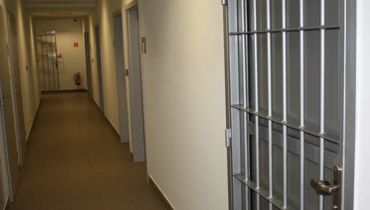 Aresztowani za rozbój i inne przestępstwa