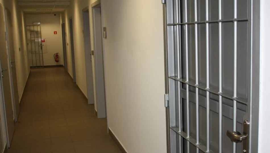 Aresztowani za rozbój i inne przestępstwa - zdjęcie 1