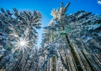 Czym żyła Limanowszczyzna w 2018 roku?  - zdjęcie główne