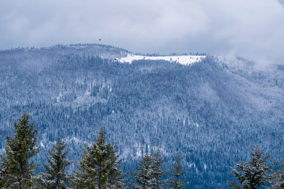 Zrzuty nad Szczawą - 2018 - zdjęcie 3
