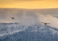 Zrzuty alianckie nad Szczawą - zdjęcie główne