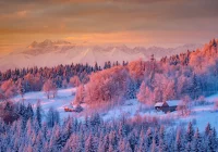 Uwaga! Może spaść nawet do 50 cm śniegu - II stopień zagrożenia - zdjęcie główne