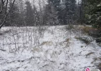 W nocy przymrozki, później śnieg? - zdjęcie główne