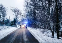 Strażacy interweniują w związku z silnym wiatrem - zdjęcie główne