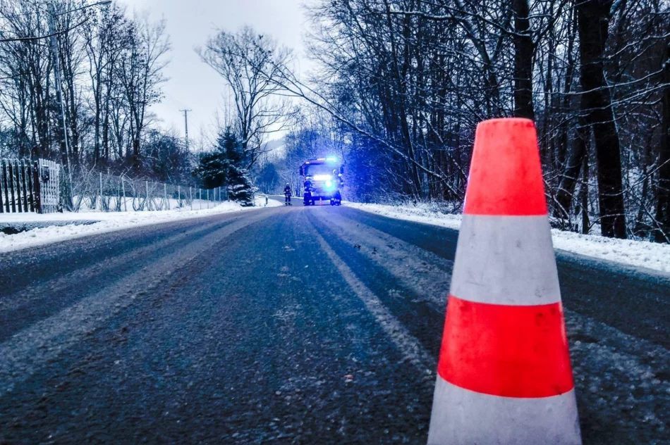 Strażacy interweniują w związku z silnym wiatrem - zdjęcie 4