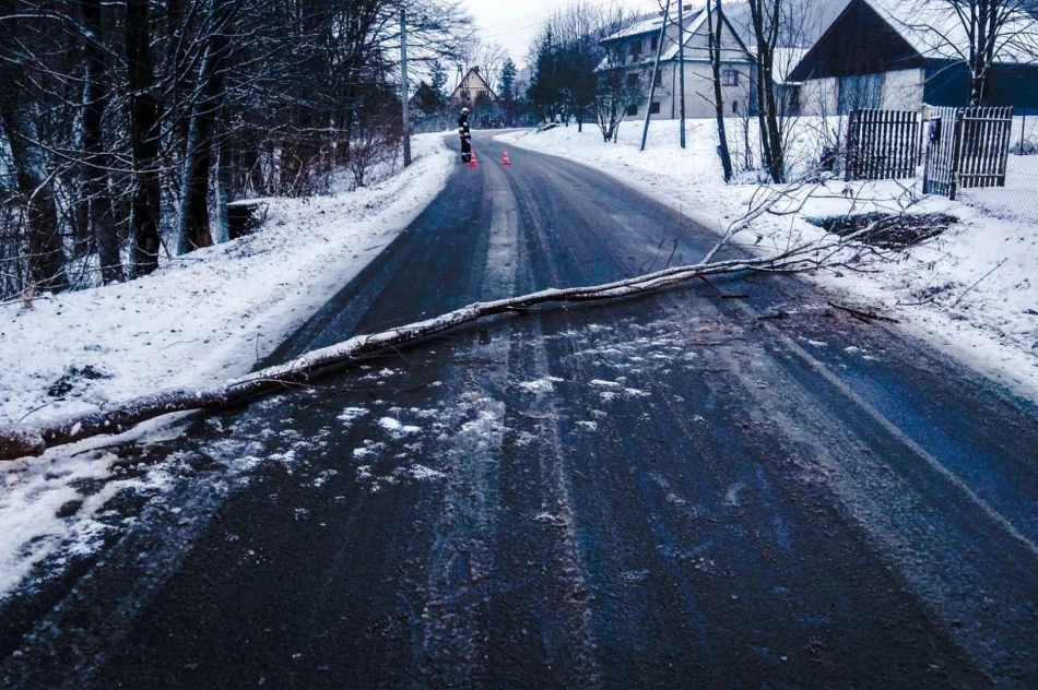 Strażacy interweniują w związku z silnym wiatrem - zdjęcie 3