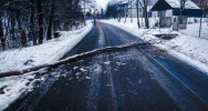 Strażacy interweniują w związku z silnym wiatrem - zdjęcie 3