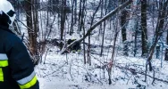 Strażacy interweniują w związku z silnym wiatrem - zdjęcie 5