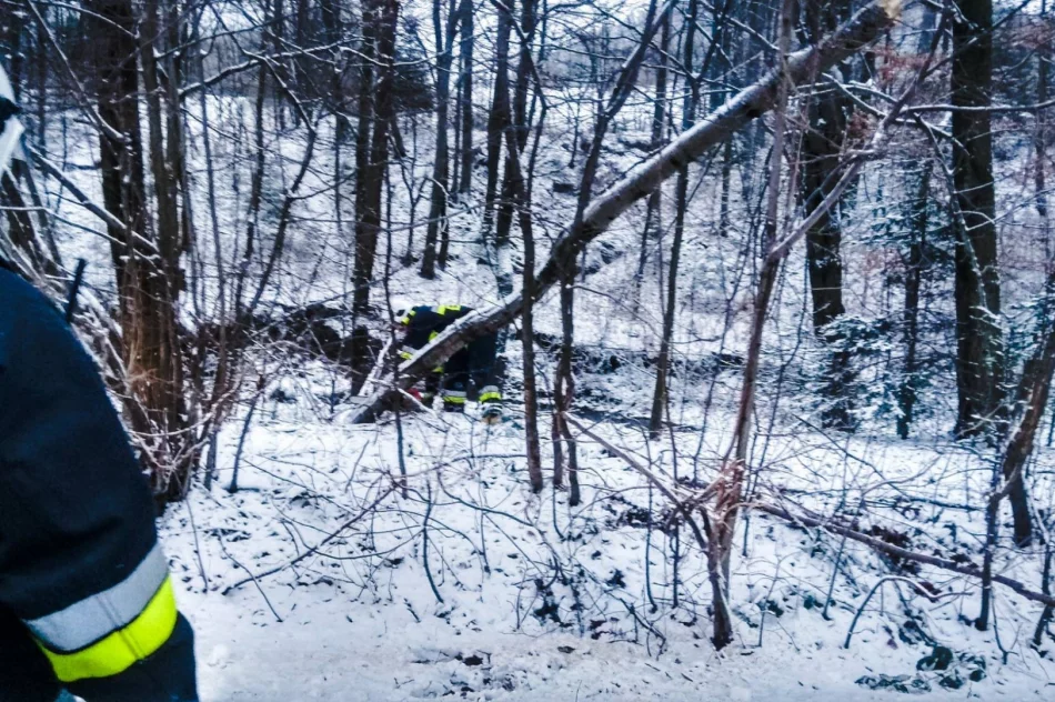 Strażacy interweniują w związku z silnym wiatrem - zdjęcie 5