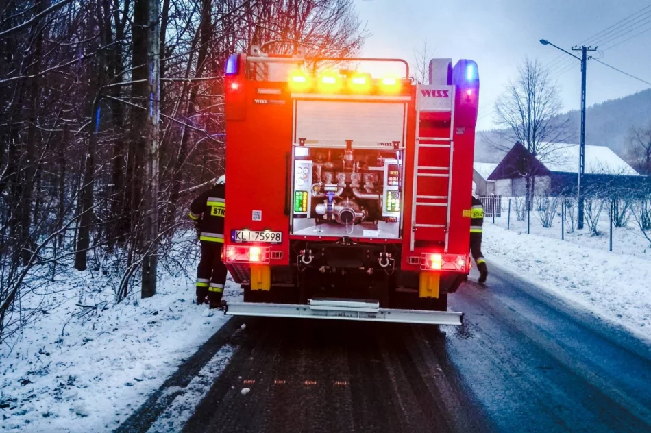 Strażacy interweniują w związku z silnym wiatrem - zdjęcie 6