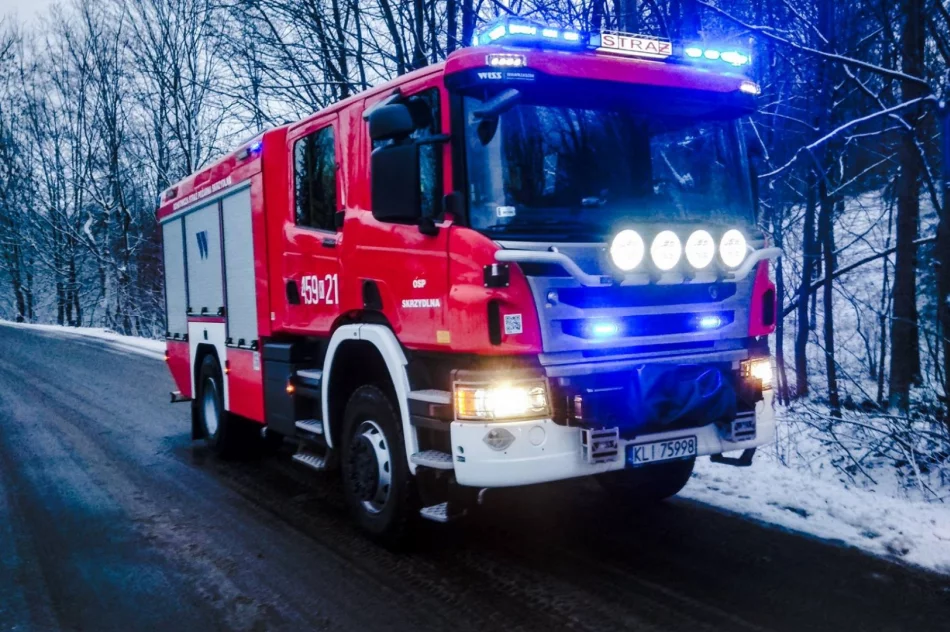 Strażacy interweniują w związku z silnym wiatrem - zdjęcie 7