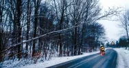 Strażacy interweniują w związku z silnym wiatrem - zdjęcie 2