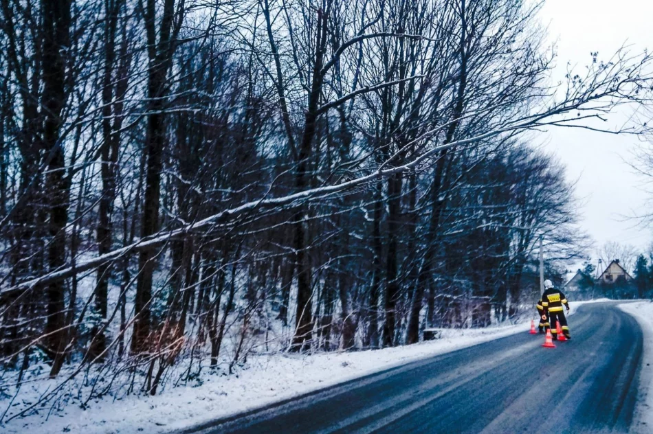 Strażacy interweniują w związku z silnym wiatrem - zdjęcie 2