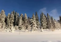 Ostrzeżenie IMiGW - spadnie do 40 cm śniegu - zdjęcie główne