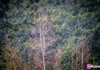 IMiGW ostrzega przed przymrozkami - zdjęcie główne