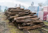 Poseł interweniował, WIOŚ kontrolował. Gdy gmina chciała zrobić porządek - podkładów już nie było - zdjęcie główne