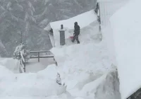 Alert pogodowy III stopnia - może spaść nawet ponad 50 cm śniegu. "Drogi mogą być nieprzejezdne" - zdjęcie główne