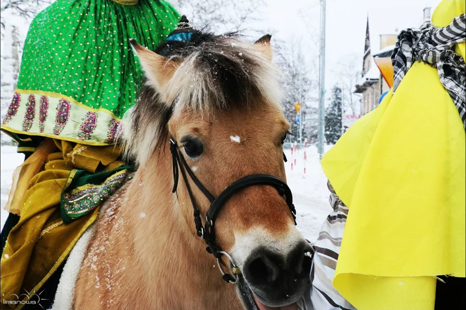 Trzej Królowie przybyli do Limanowej! - zdjęcie 16