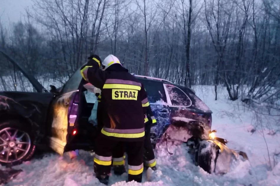 Zderzenie Porsche z ciężarówką. Do szpitala trafiło dziecko - zdjęcie 3