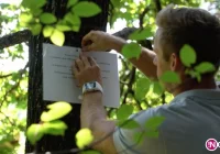 Pierwsze upamiętnienie pomordowanych. Ciała wielu z nich wciąż tam spoczywają (wideo) - zdjęcie główne