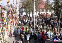 58 palm w jubileuszowym, 30. konkursie. Największa miała ponad 14 metrów! - zdjęcie główne