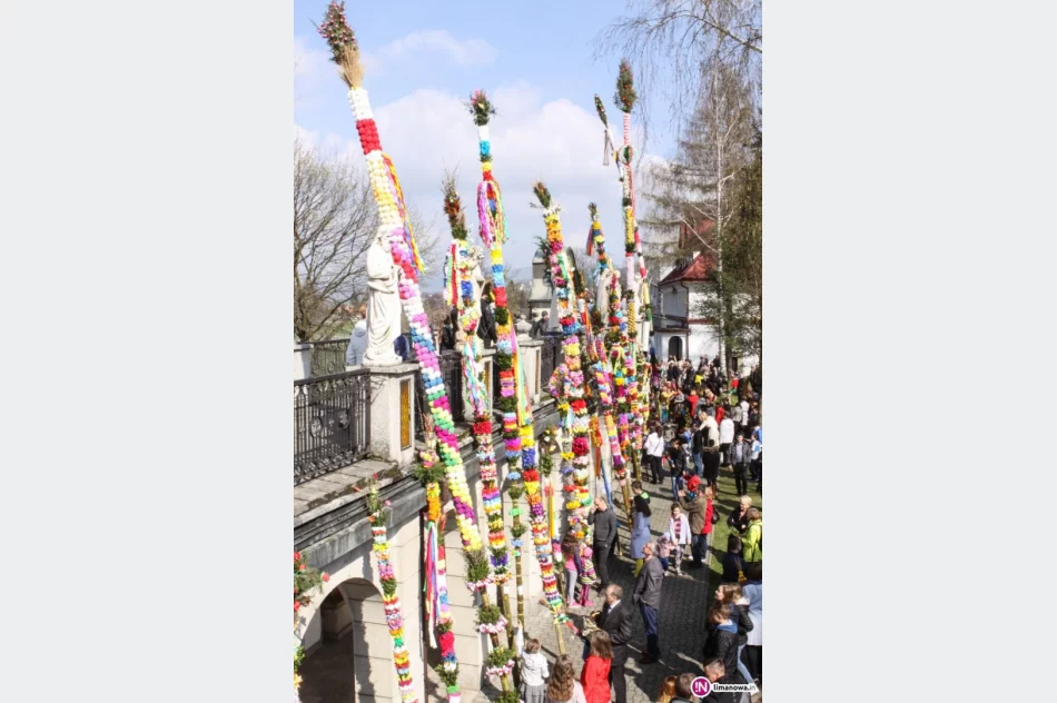 58 palm w jubileuszowym, 30. konkursie. Największa miała ponad 14 metrów! - zdjęcie 2