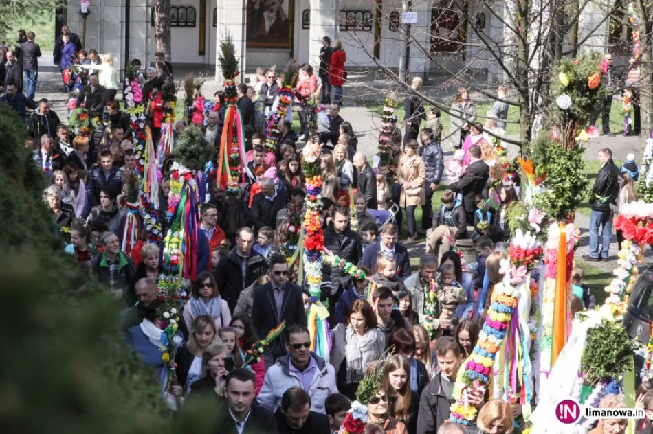 58 palm w jubileuszowym, 30. konkursie. Największa miała ponad 14 metrów! - zdjęcie 3