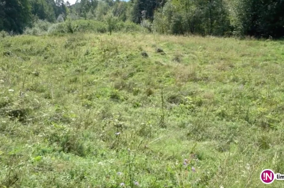 Pierwsze upamiętnienie pomordowanych. Ciała wielu z nich wciąż tam spoczywają (wideo) - zdjęcie 3