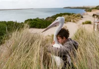 Premiera w Kinie Klaps - "Chłopiec z burzy" na ekranie od 18 stycznia! - zdjęcie główne