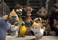 "Sekretny świat kotów" od 18 stycznia w Kinie Klaps!  - zdjęcie główne