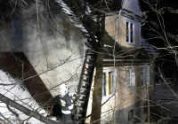 Dwie interwencje związane z silnym wiatrem. Drzewo spadło na dom - zdjęcie główne