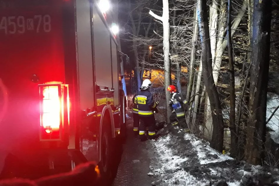Dwie interwencje związane z silnym wiatrem. Drzewo spadło na dom - zdjęcie 3