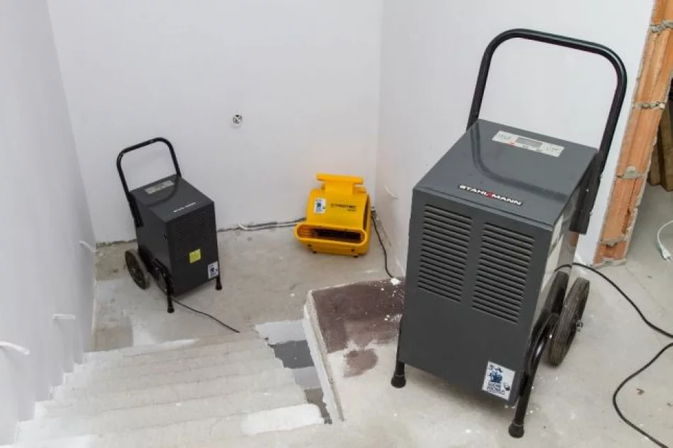 Wypożyczalnia - Osuszacz powietrza  - zdjęcie 3