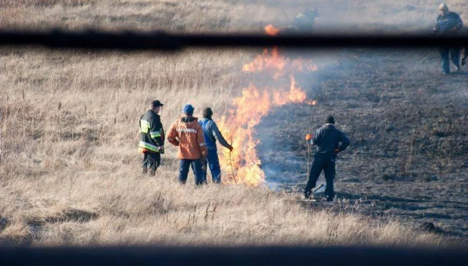 117 pożarów traw w jeden weekend - zdjęcie 1